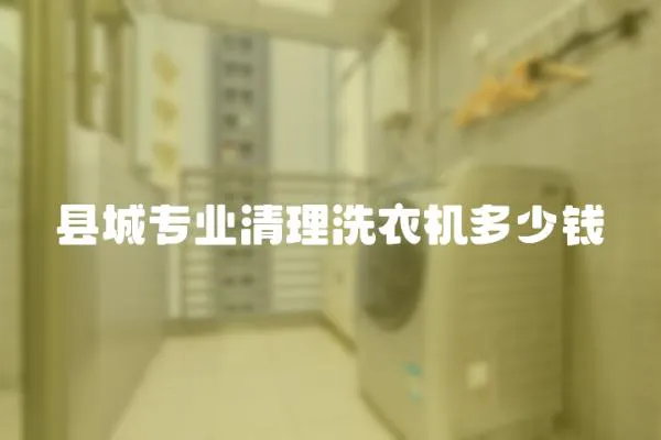 縣城專業清理洗衣機多少錢