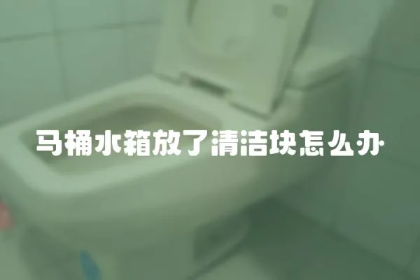 馬桶水箱放了清潔塊怎么辦