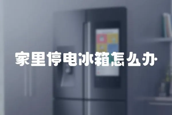 家里停電冰箱怎么辦