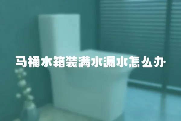 马桶水箱装满水漏水怎么办