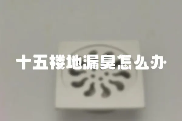 十五樓地漏臭怎么辦