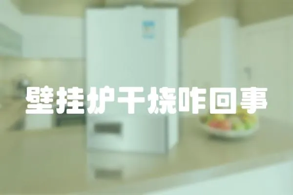 壁掛爐干燒咋回事