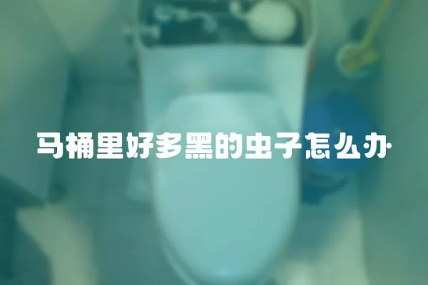 馬桶里好多黑的蟲子怎么辦