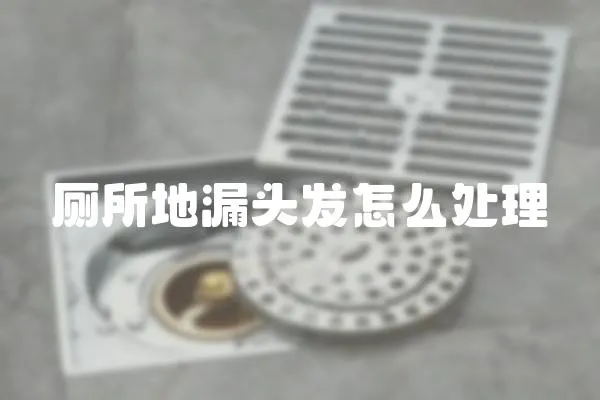 廁所地漏頭發(fā)怎么處理