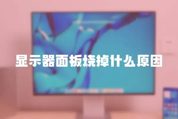顯示器面板燒掉什么原因