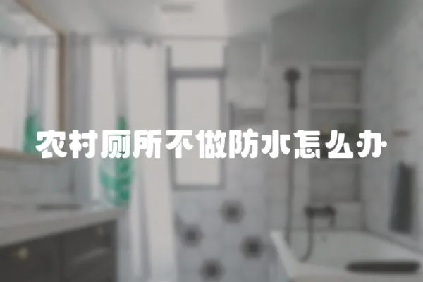 農(nóng)村廁所不做防水怎么辦