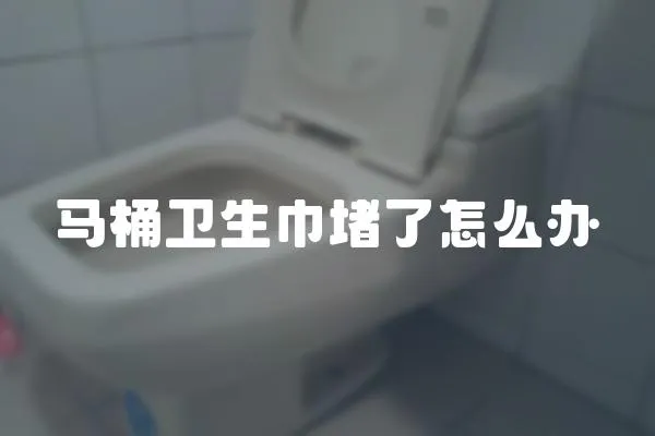 馬桶衛生巾堵了怎么辦