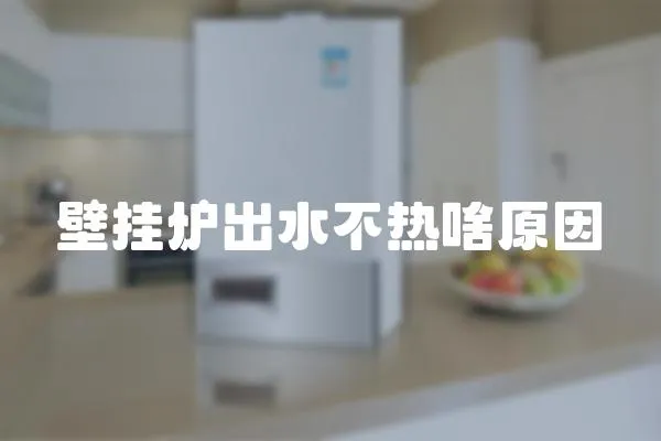 壁掛爐出水不熱啥原因