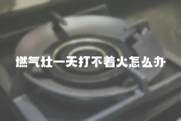 燃?xì)庠钜惶齑虿恢鹪趺崔k