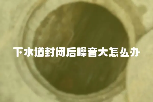 下水道封閉后噪音大怎么辦