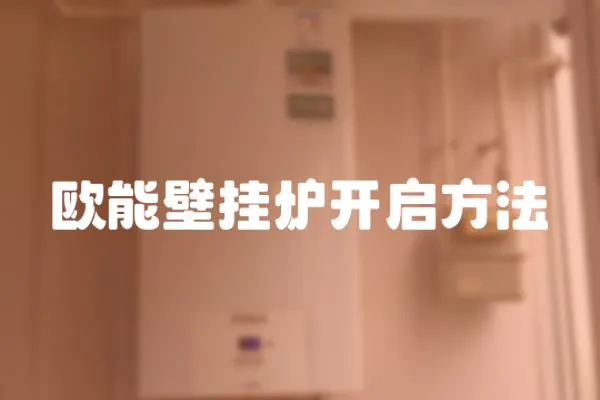 歐能壁掛爐開啟方法