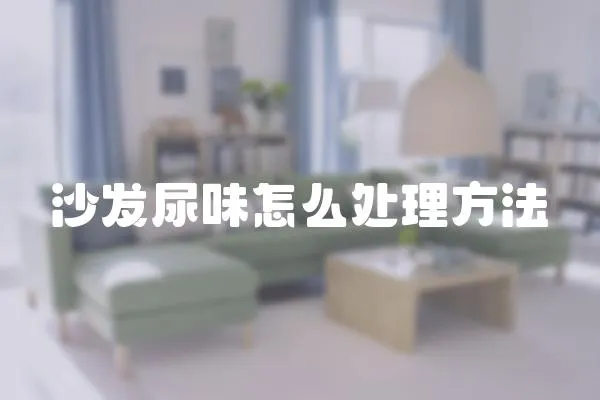 沙發(fā)尿味怎么處理方法