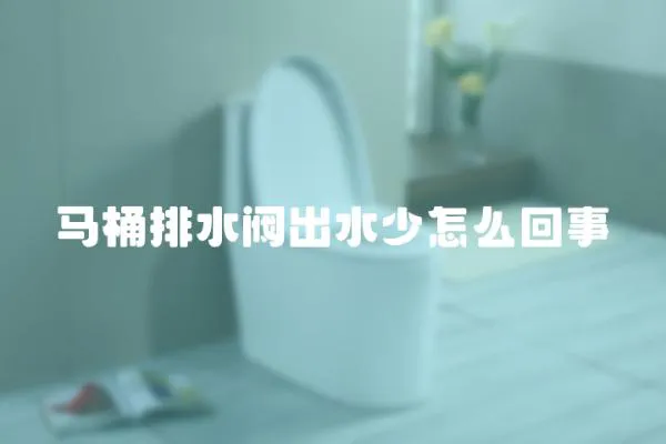 馬桶排水閥出水少怎么回事