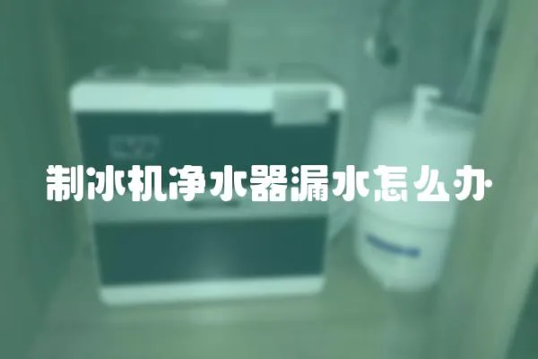 制冰機凈水器漏水怎么辦