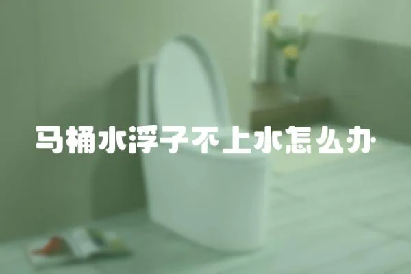 馬桶水浮子不上水怎么辦