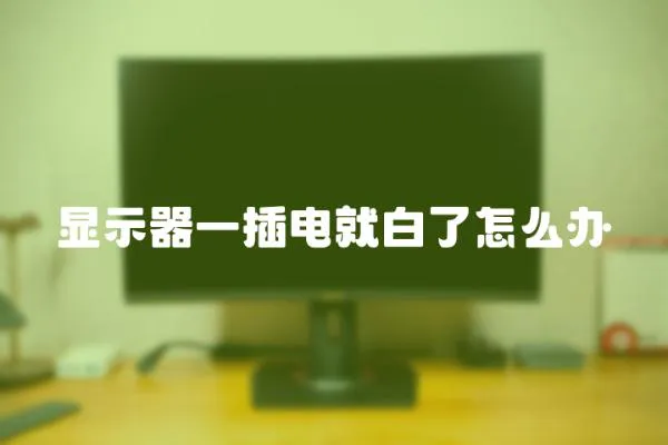 顯示器一插電就白了怎么辦