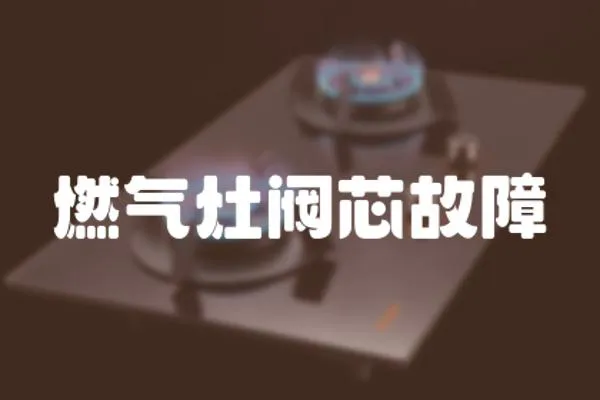 燃氣灶閥芯故障