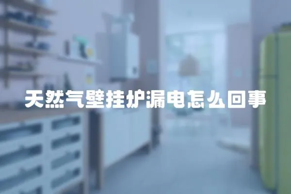 天然氣壁掛爐漏電怎么回事