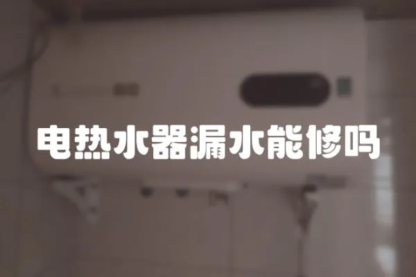 電熱水器漏水能修嗎