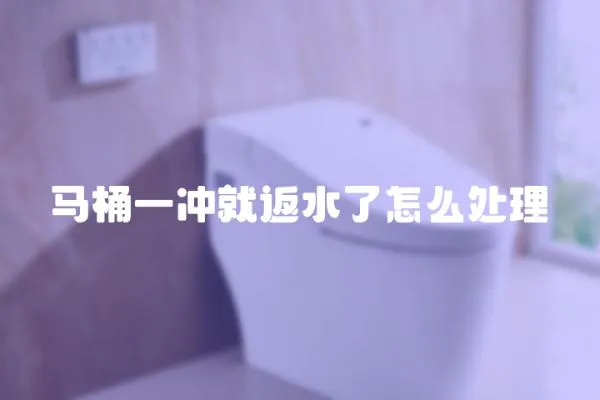 馬桶一沖就返水了怎么處理