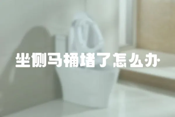 坐側(cè)馬桶堵了怎么辦