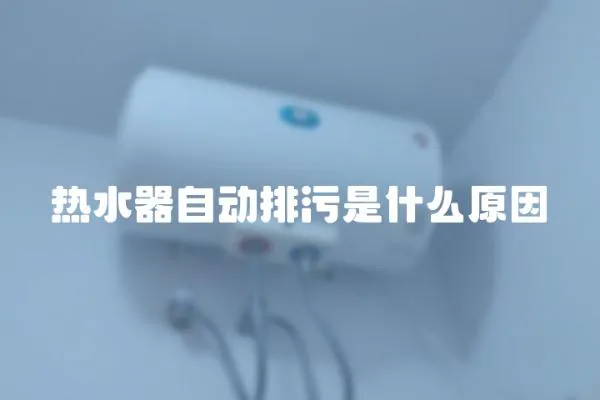 熱水器自動排污是什么原因
