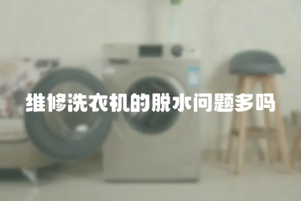 維修洗衣機的脫水問題多嗎