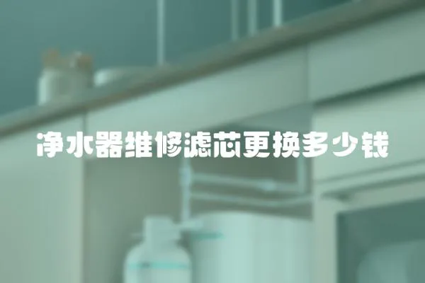 凈水器維修濾芯更換多少錢(qián)