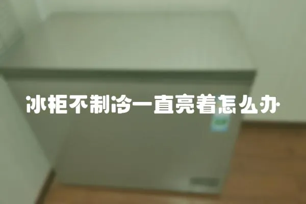 冰柜不制冷一直亮著怎么辦