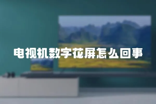 電視機數字花屏怎么回事