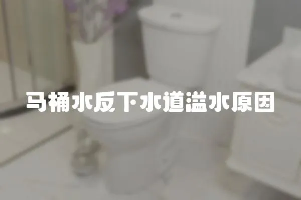 馬桶水反下水道溢水原因