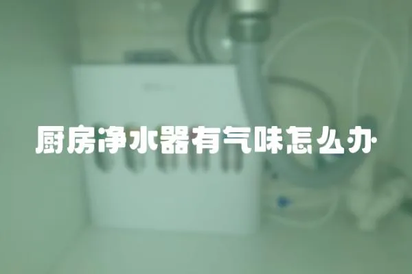 廚房?jī)羲饔袣馕对趺崔k