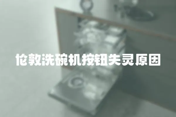 倫敦洗碗機(jī)按鈕失靈原因