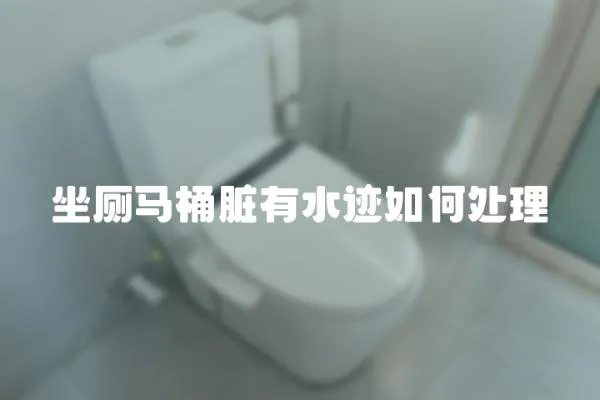 坐廁馬桶臟有水跡如何處理