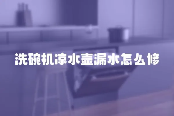 洗碗機(jī)涼水壺漏水怎么修