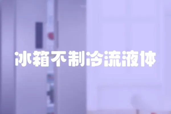 冰箱不制冷流液體