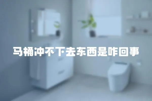 馬桶沖不下去東西是咋回事