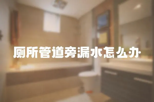 廁所管道旁漏水怎么辦