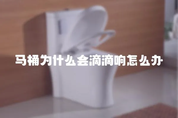 馬桶為什么會滴滴響怎么辦