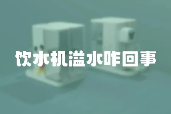 飲水機(jī)溢水咋回事