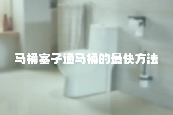 馬桶塞子通馬桶的最快方法