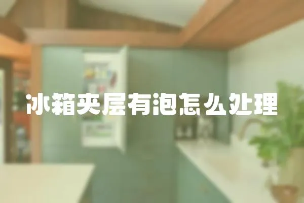 冰箱夾層有泡怎么處理