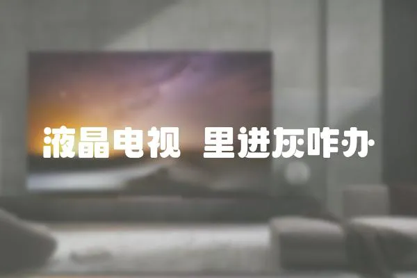 液晶電視屛里進灰咋辦