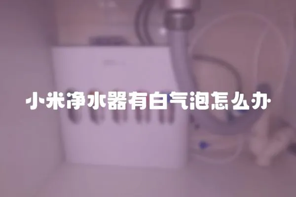 小米凈水器有白氣泡怎么辦