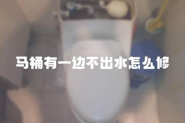 馬桶有一邊不出水怎么修