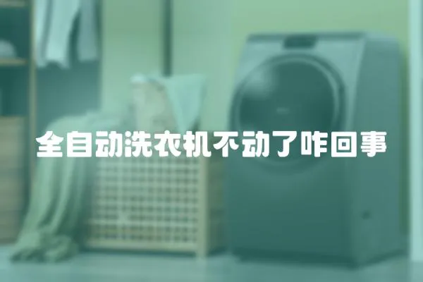 全自動洗衣機不動了咋回事