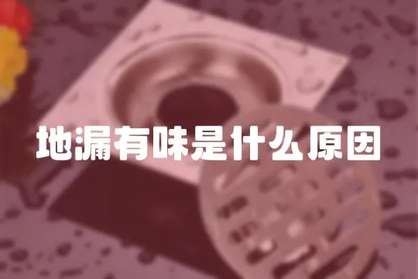 地漏有味是什么原因
