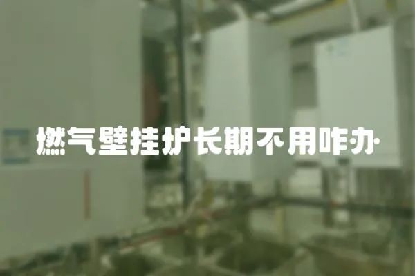 燃?xì)獗趻鞝t長期不用咋辦