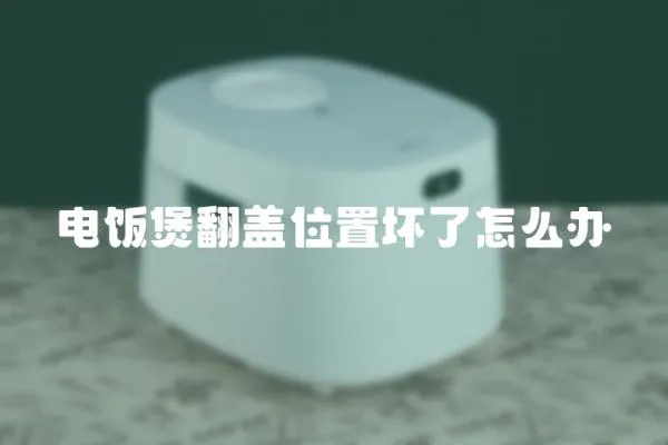 電飯煲翻蓋位置壞了怎么辦