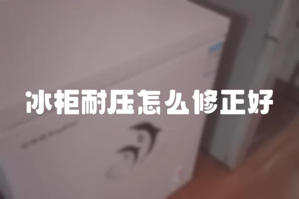 冰柜耐壓怎么修正好